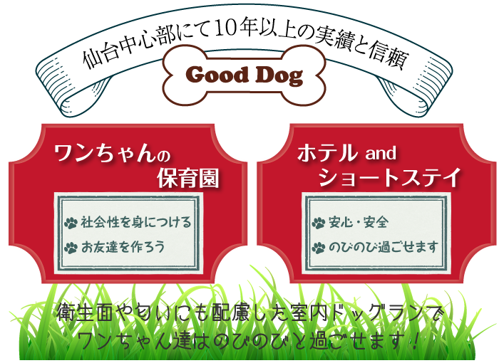 社会生活を身につけお友達をつくる『ワンちゃんの保育園』や安心・安全の『ホテル＆ショートステイ』も承ります。衛生面や匂いにも配慮した室内ドッグランでワンちゃん達はのびのびと過ごせます。仙台市内中心部で屋内ドッグラン付きの保育園で、10年以上信頼と実績のグッドドッグへのご来店をお待ちしております。